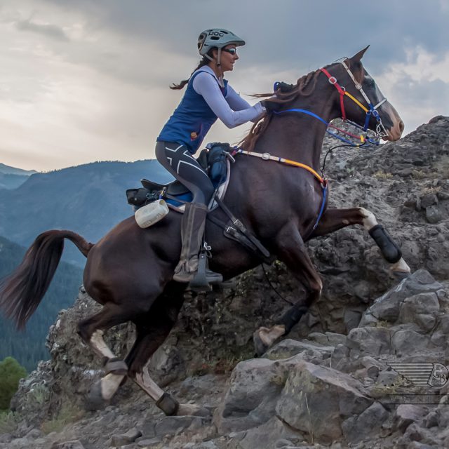 Ultralight-1080 https://www.nadriexporters.com/wp-content/uploads/2021/01/Ultralight-1080-640x640.jpg