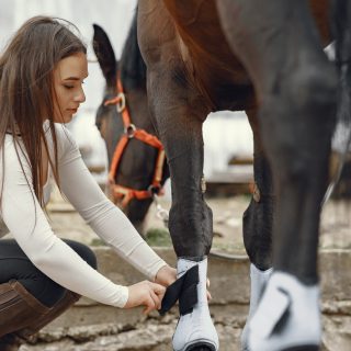 Elegant girl in a farm wiith a horse Cute girl with a horse. Lady in a white t-shirt. Woman in a summer ranch.