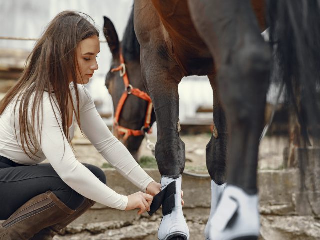 Elegant girl in a farm wiith a horse Cute girl with a horse. Lady in a white t-shirt. Woman in a summer ranch.
