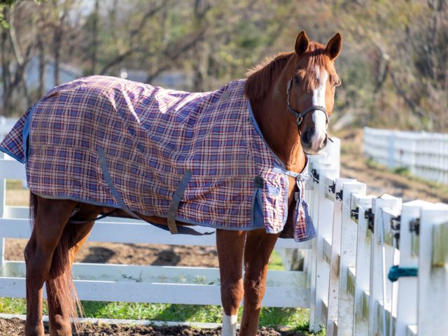 peter-de-lucia-9Lvdl-BbXOg-unsplash https://www.nadriexporters.com/wp-content/uploads/2021/01/peter-de-lucia-9Lvdl-BbXOg-unsplash-640x480.jpg