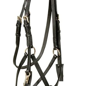https://www.nadriexporters.com/wp-content/uploads/2021/02/0016-BRIDLE-WITH-MEXICO-NOSEBAND-300x300.jpg