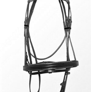 https://www.nadriexporters.com/wp-content/uploads/2021/02/202-bonfire-bridle-with-web-reins-or-leather-reins-298x300.jpg