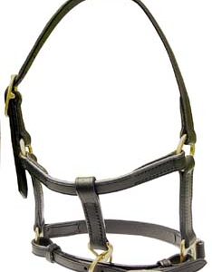 https://www.nadriexporters.com/wp-content/uploads/2021/02/2402-leather-halter-adjustable-on-crown-and-noseband-234x300.jpg