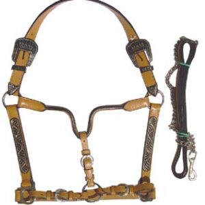 https://www.nadriexporters.com/wp-content/uploads/2021/02/2403-western-leather-halter-with-lead-leather-chain-300x300.jpg