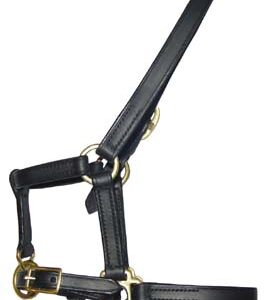 https://www.nadriexporters.com/wp-content/uploads/2021/02/257-foal-halter-gold-plated-fittings-265x300.jpg