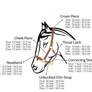 https://www.nadriexporters.com/wp-content/uploads/2021/02/EXAMPLE-SIZE-CHART-FOR-HALTERS-300x300.jpg