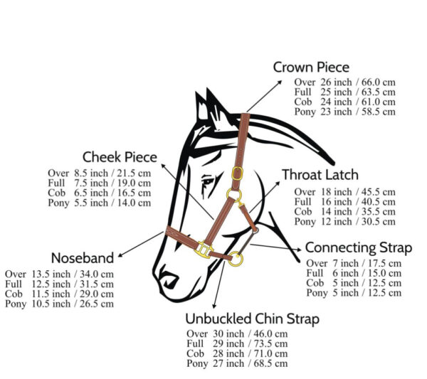 00-REFERENCE FOR HALTER