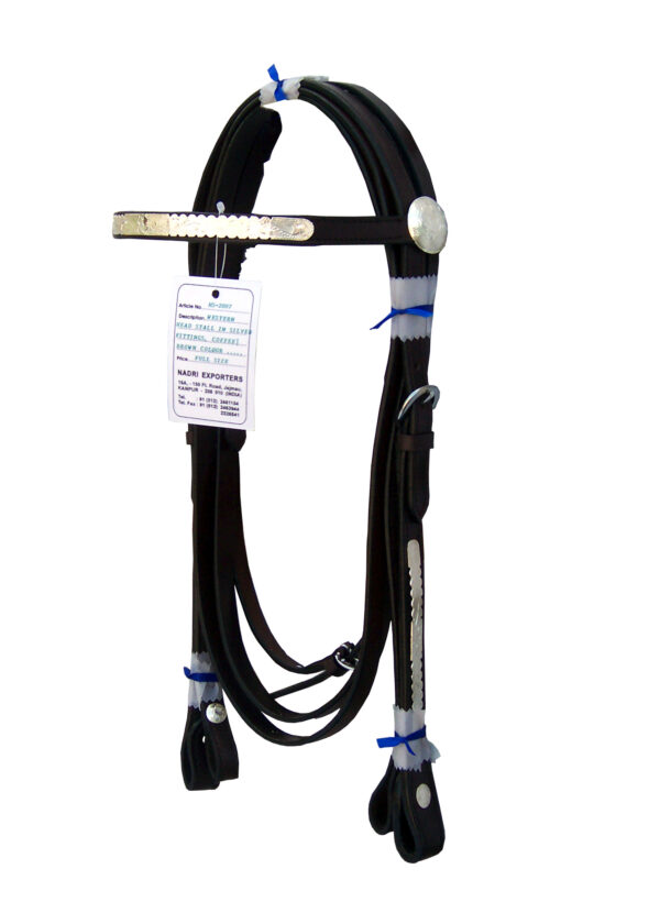 HS-2007