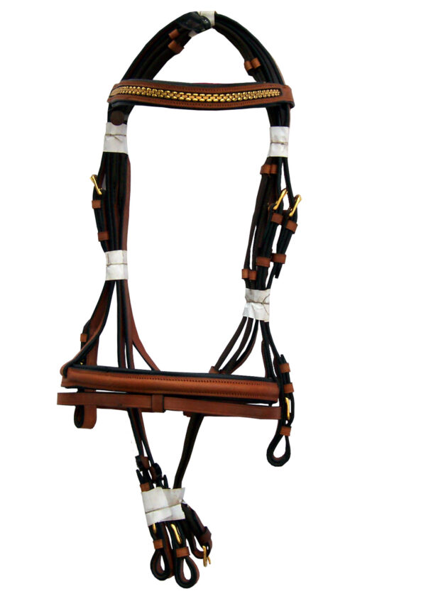 NE-1625 FANCY SNAFFLE-BRIDLE