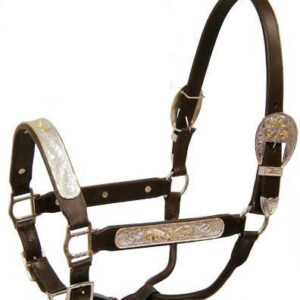 https://www.nadriexporters.com/wp-content/uploads/2021/02/NE-284-WESTERN-HALTER-WITH-SILVER-FITTINGS-300x300.jpg