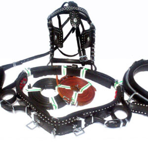 https://www.nadriexporters.com/wp-content/uploads/2021/02/NE-6437-Show-Parade-Single-Harness-300x300.jpg