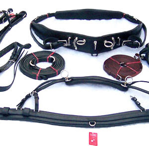 https://www.nadriexporters.com/wp-content/uploads/2021/02/NE-8422-SWISS-DRIVING-SINGLE-HARNESS-300x293.jpg