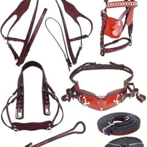 https://www.nadriexporters.com/wp-content/uploads/2021/02/NE-8433-DIPLOMAT-SINGLE-HARNESS-300x300.jpg