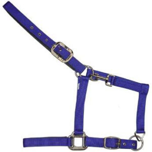 https://www.nadriexporters.com/wp-content/uploads/2021/02/NY-16-NYLON-HALTER-300x300.jpg
