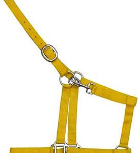 https://www.nadriexporters.com/wp-content/uploads/2021/02/NY-22-NYLON-HALTER-271x300.jpg
