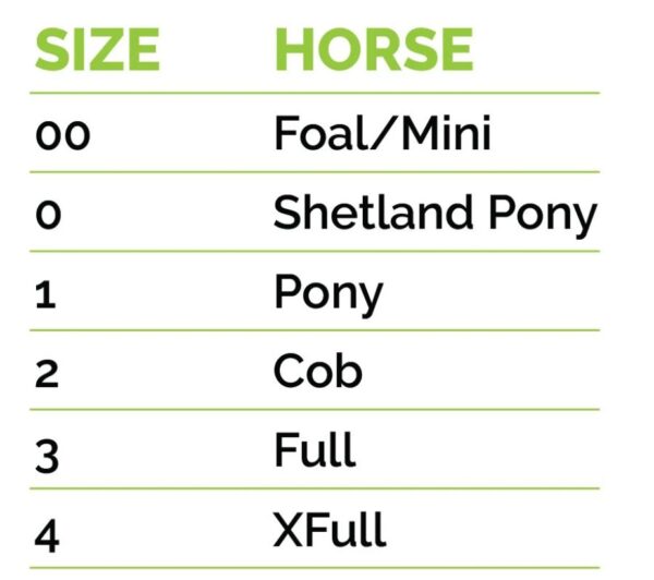 00-REFERENCE SIZE FOR EQUESTRIAN GOODS