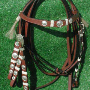 https://www.nadriexporters.com/wp-content/uploads/2021/02/Western-Headstall-with-Silver-Rosettes-Horse-Hairs-300x300.jpg