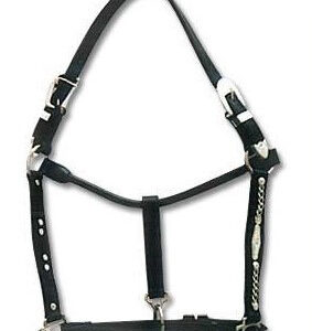 https://www.nadriexporters.com/wp-content/uploads/2021/02/Western-Show-Halter-WH-1016-283x300.jpg