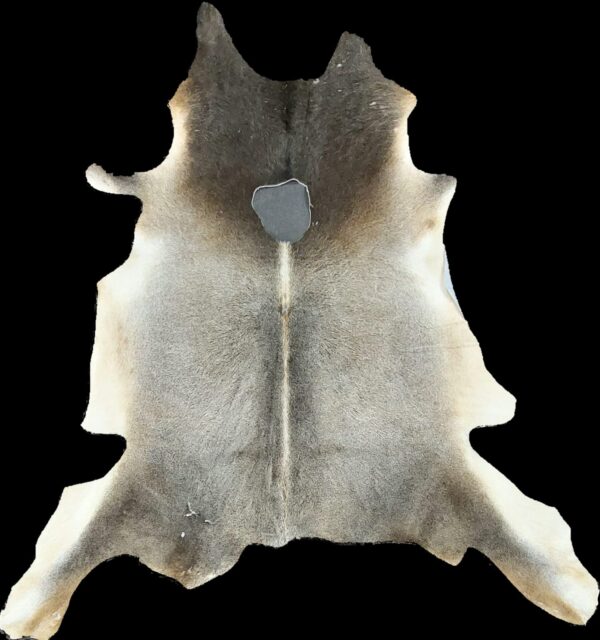 Natural Hairon Jersy Cow Leather NE-1000