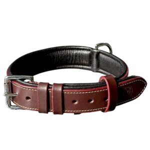https://www.nadriexporters.com/wp-content/uploads/2025/06/NEP-10010-300x300.jpeg